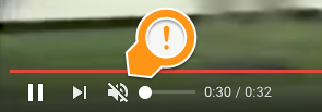 File:Muted in YouTube.png