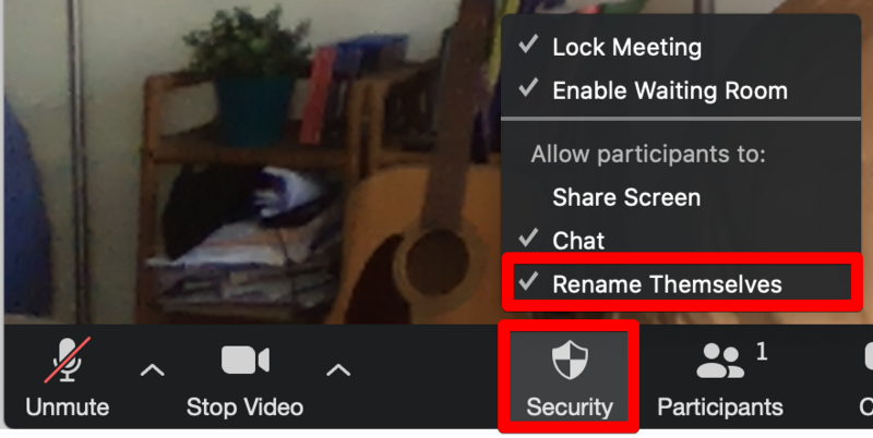 File:ZoomSecurityRename.png
